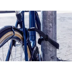 AbusACH IVY 6KS/100 - Antivol vélo