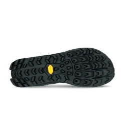 AltraLone Peak 9+ GTX - Chaussures trail homme