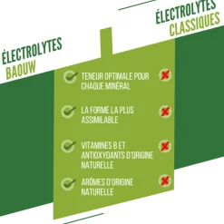 BaouwCitron Vert-Menthe - Boisson énergétique
