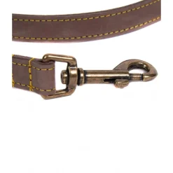 BarbourLeather Dog Lead - Laisse pour chien