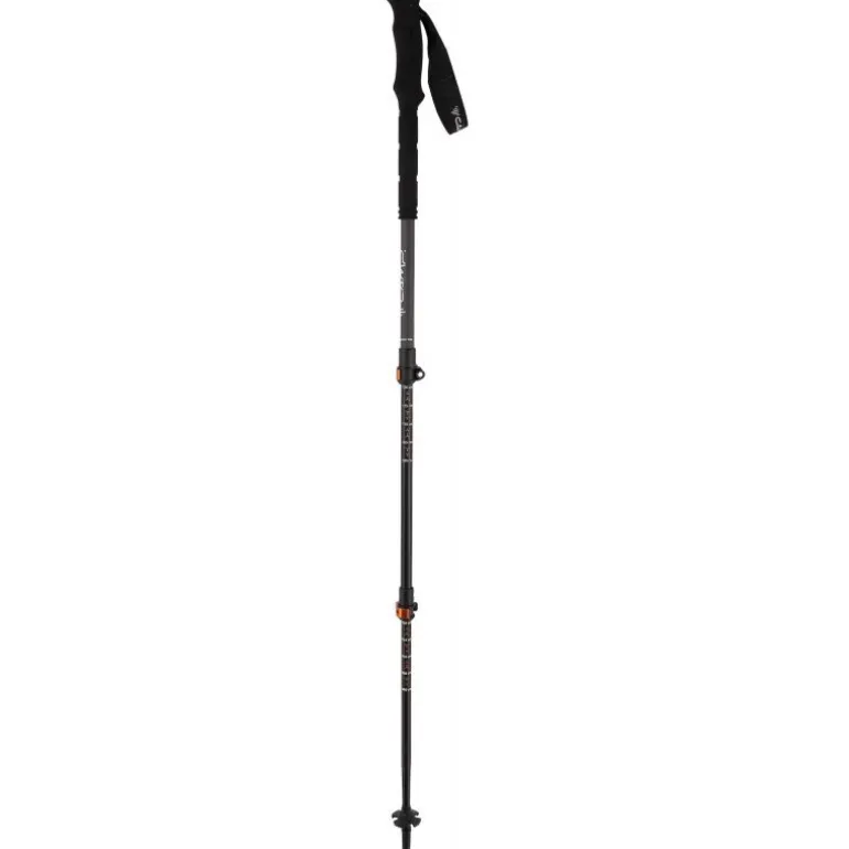 CampBackcountry Pro 2.0 - Bâtons randonnée