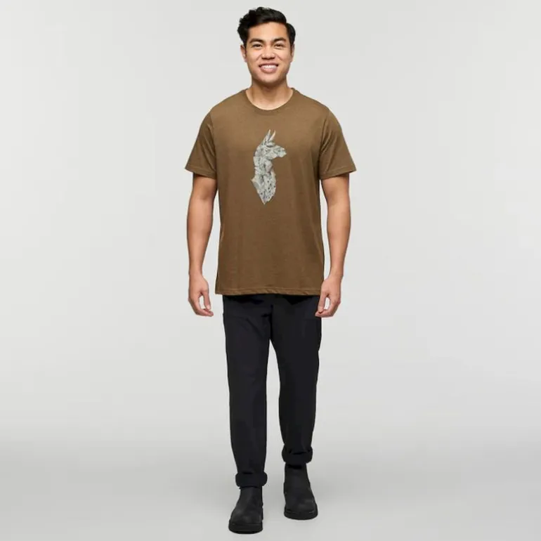 CotopaxiInto the Pines - T-shirt homme