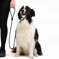 EzyDogLuca Leash - Laisse pour chien