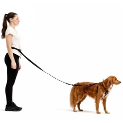 EzyDogRoad Runner Leash - Laisse pour chien