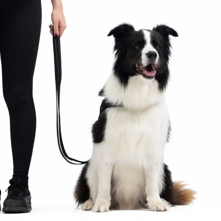EzyDogVario 4 - Laisse pour chien