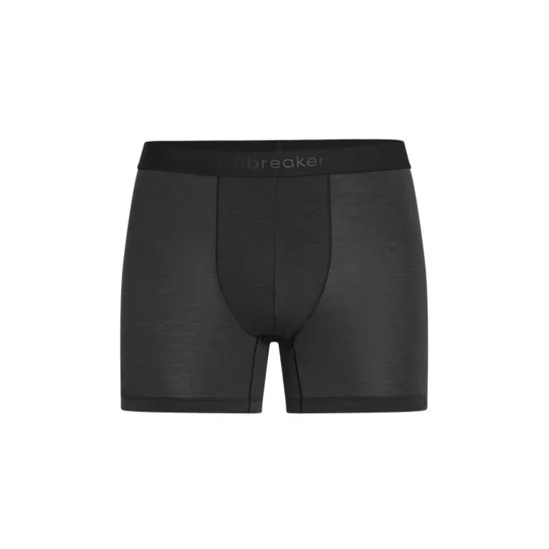 icebreakerAnatomica Boxers - Boxer homme