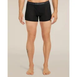 icebreaker175 Everyday Boxers wFly - Boxer laine mérinos homme