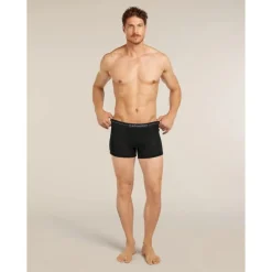 icebreaker175 Everyday Boxers wFly - Boxer laine mérinos homme