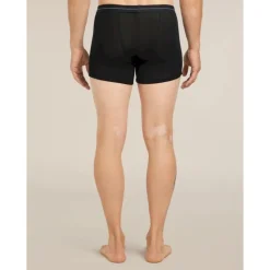 icebreaker175 Everyday Boxers wFly - Boxer laine mérinos homme