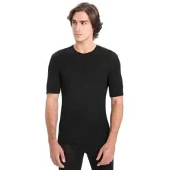 icebreakerMerino 175 Everyday SS Crewe - T-shirt en laine mérinos homme