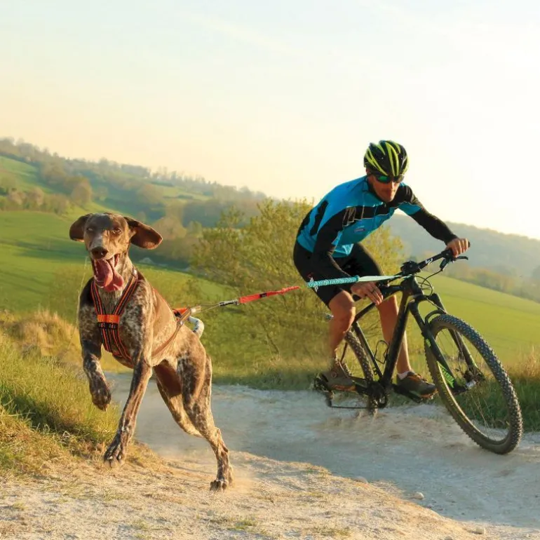 I-DogX-Back One 2.0 - Harnais pour chien