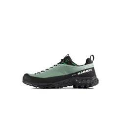 MammutAlnasca IV Low GTX - Chaussures approche homme