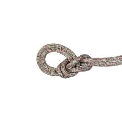 Mammut8.0 Alpine Core Protect Dry - Corde escalade