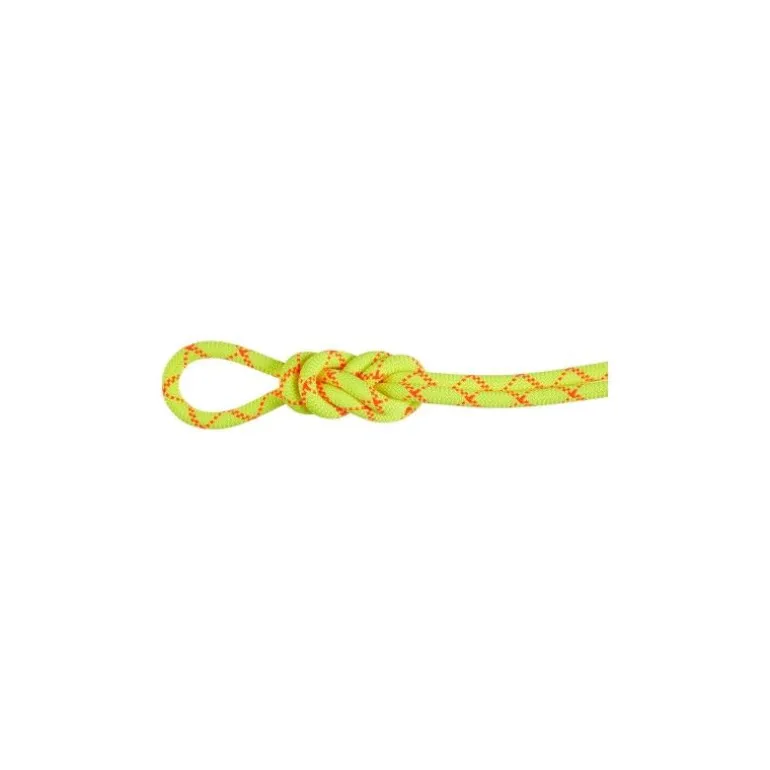 Mammut9.5 Alpine Core Protect Dry - Corde à simple