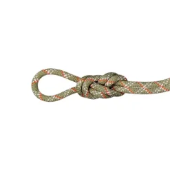 Mammut9.5 Gym Classic - Corde à simple
