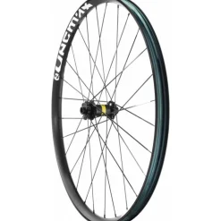 MavicE-Deemax 29 | 15 x 110 mm Boost | 6 Trous - Roue avant VTT 29"