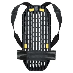 PocVPD System Back - Dorsale VTT