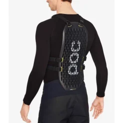 PocVPD System Back - Dorsale VTT