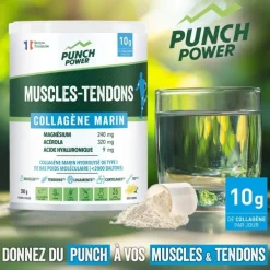Punch PowerMuscles-Tendons Collagene Marin Poudre 300 g