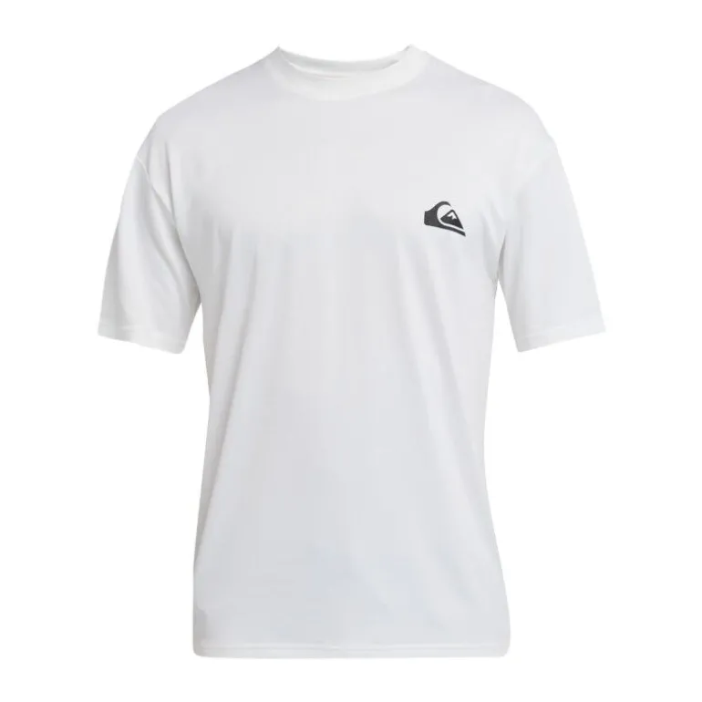 QuiksilverEveryday Surf Tee Ss - T-shirt homme