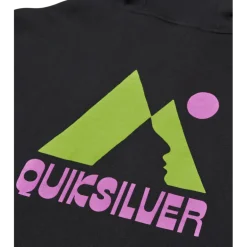 QuiksilverStandard Hoodie - Sweatshirt à capuche femme